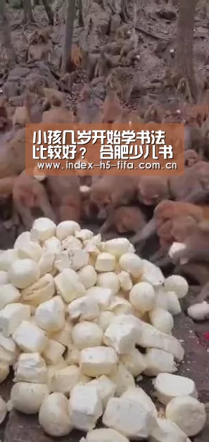 世界杯投注